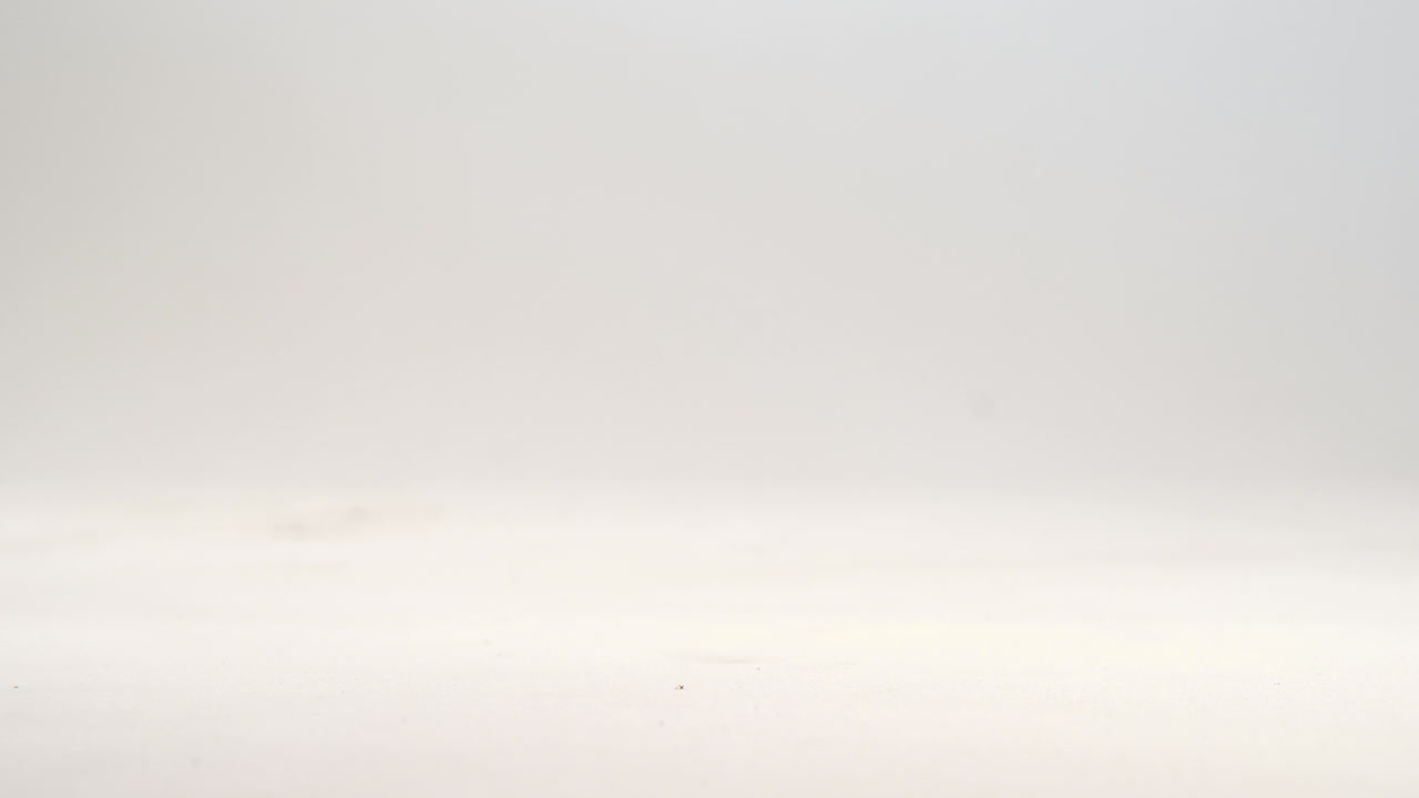 ⁇ 색 배경에 떨어지는 전구