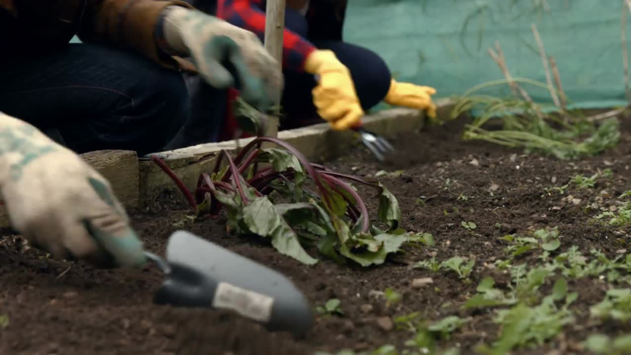 una pareja joven haciendo jardinería.