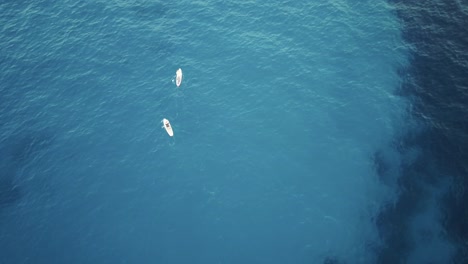 imágenes de drones de stand up paddle en agua azul turquesa clara