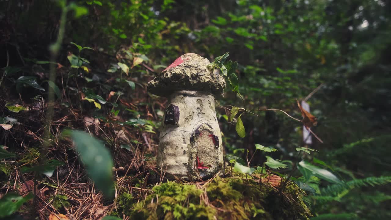 Close up shot of a mushroom fairy house on the ground of a enchanted lush forest, Ireland