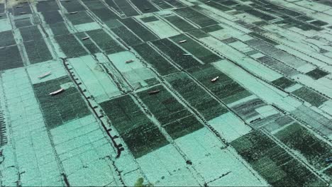 angled aerial of bali seaweed farms, showing grid like beds in the clear coastal waters