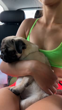 chica sosteniendo un pug en un coche