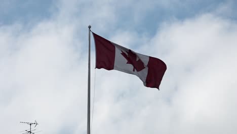 canadian flag flying in the wind