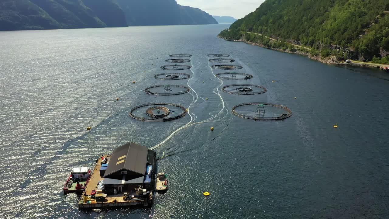 노르웨이에서 연어  ⁇ 시를 하는 공중 촬영