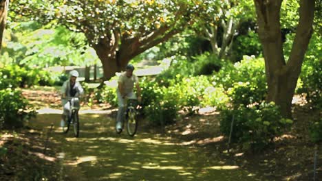 Pareja-De-Ancianos-En-Bicicleta-Juntos