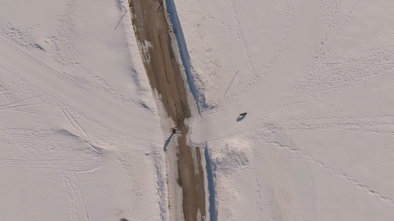 toma aérea de un dron de un hombre esquiando a campo traviesa con su perro cruza una carretera - toma en órbita