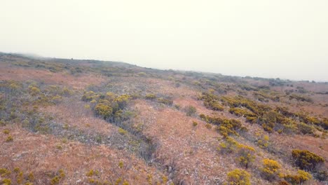 pequeña vegetación y arbustos en la cima de una montaña volcánica - disparo de dron