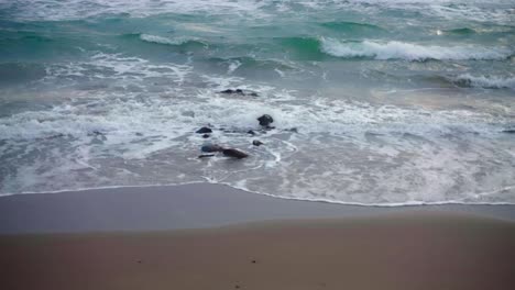 Olas-En-La-Playa-Con-Pajaritos-Pasando