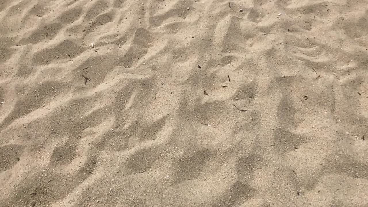 4k로 앞으로 나아가는 하얀 모래 해변의 근접 촬영