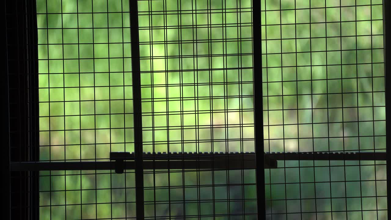 게이트를 통해 볼 수 있는 푸른 잔디밭