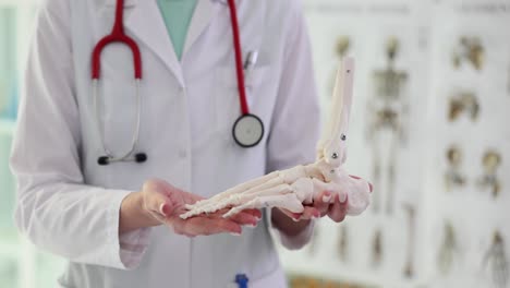 doctor holding a foot bone model