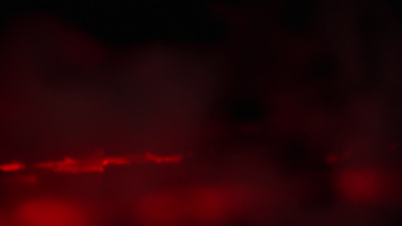 검은 바탕에 움직이는  ⁇ 은 액체 반점, 추상적인 불 바탕