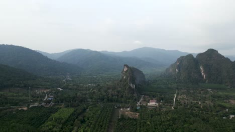 aerial view of a lush green tropical valley with karst mountains