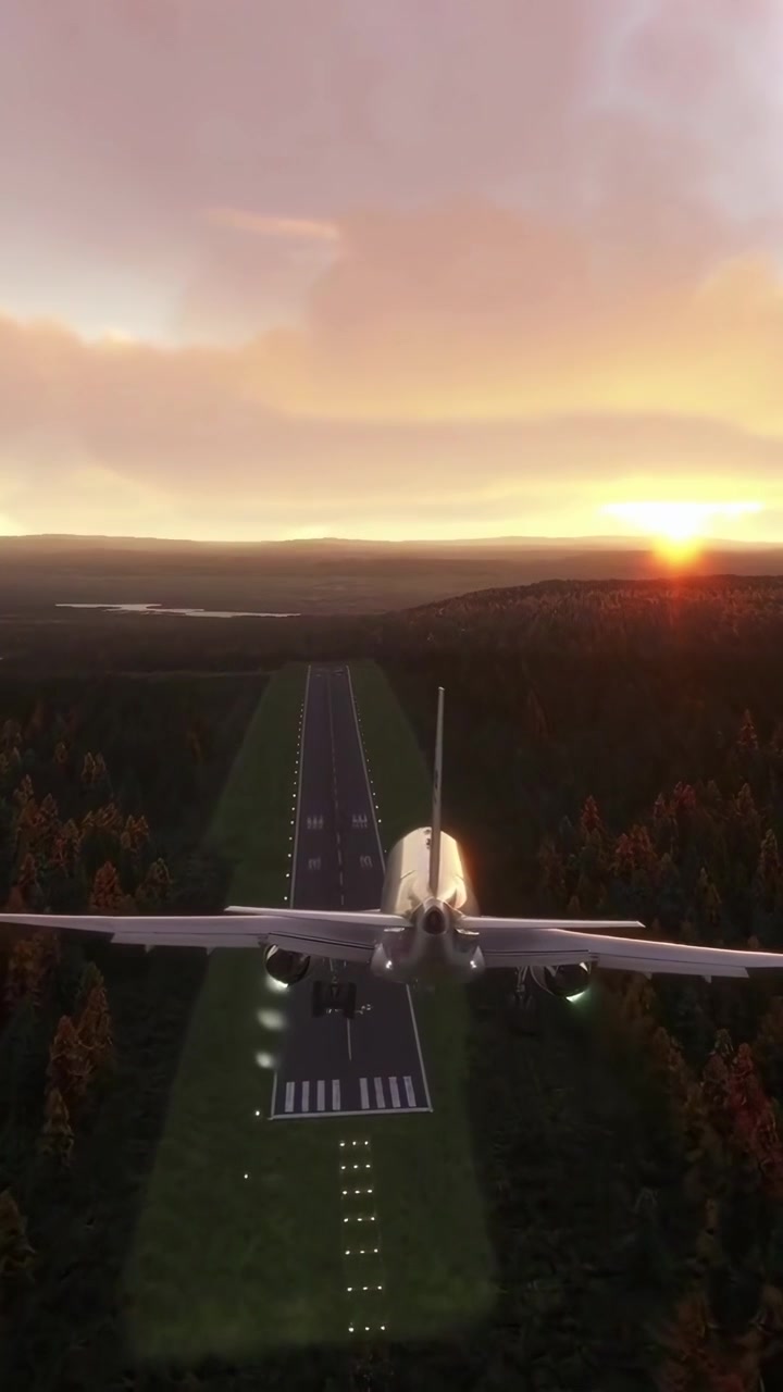 Aereo passeggeri che atterra sulla pista al tramonto