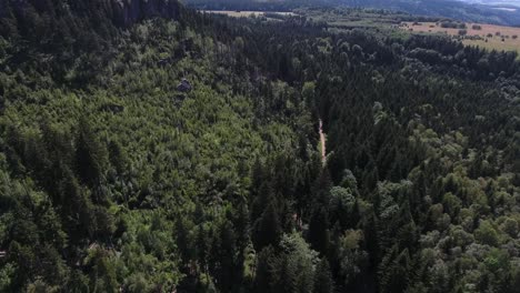 Aerial-Shot-Of-Road-In-The-Dense-Mountain-Forest-4K