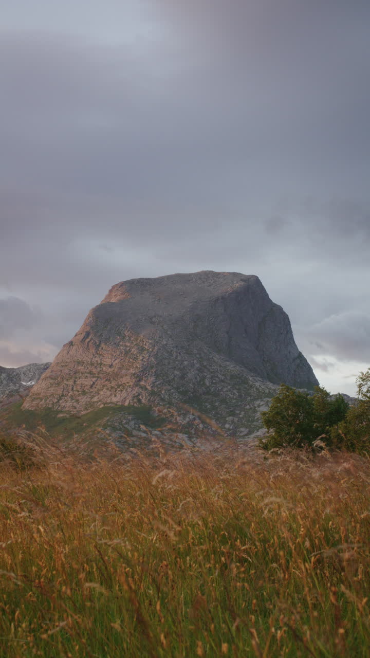 A vertical shot of a towering mountain peak with golden grass under a cloudy sky. Filmed during the midnight sun golden hour in Northern Norway.