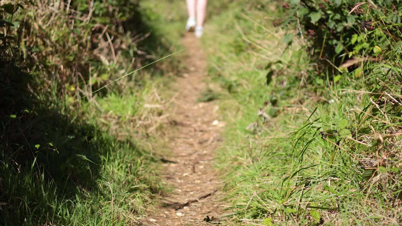 숲길을 따라 고 있는 남자
