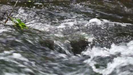 water flowing over a rock in a river