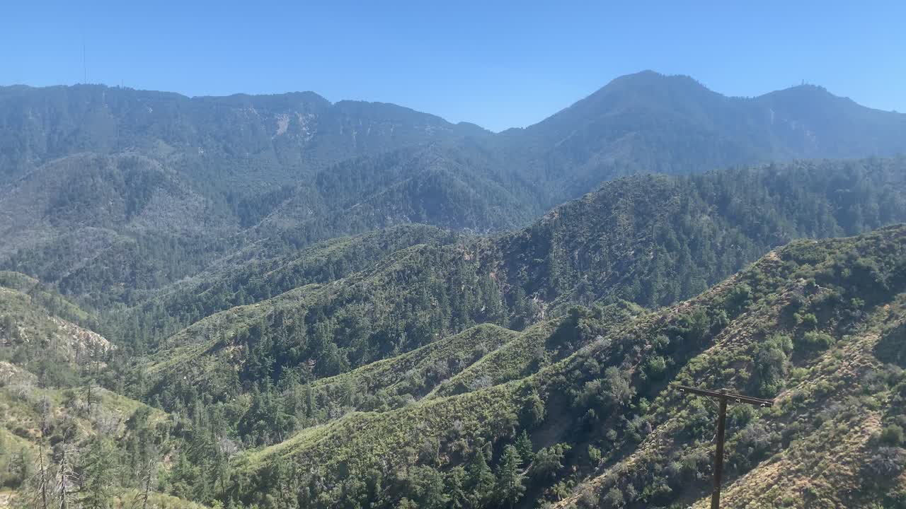 exuberante montaña verde durante el verano