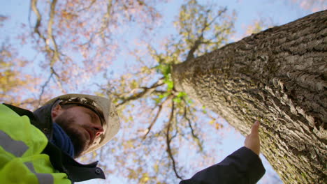 male biologist touching tree trunk with his hand looking upward, low angle face up closeup