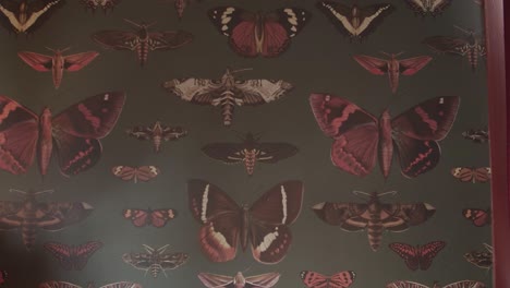 close-up view of wallpaper with butterflies and moths on the wall in a retro room with red curtains