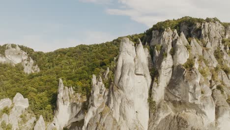 hermosas rocas afiladas ubicadas en el bosque verde con árboles caducifolios