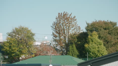 Trees-Being-Blown-By-The-Wind-Against-Bright-Sky---Windy-Day-In-Tokyo---static-shot,-slow-motion