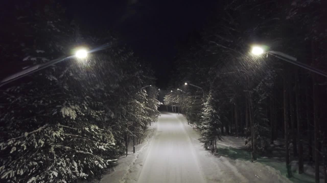 camino de bosque nevado por la noche