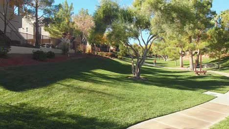 los senderos de summerlin, las vegas. el paseo de perros.