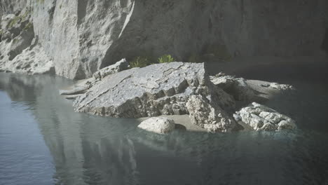 ein fluss fließt durch eine schlucht mit einem großen felsen in der mitte