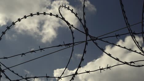 barbed wire fence against blue sky.