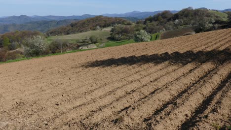 fields planted with potatoes