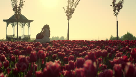 vista trasera de una mujer irreconocible tocando un instrumento de cuerdas en un jardín floral.