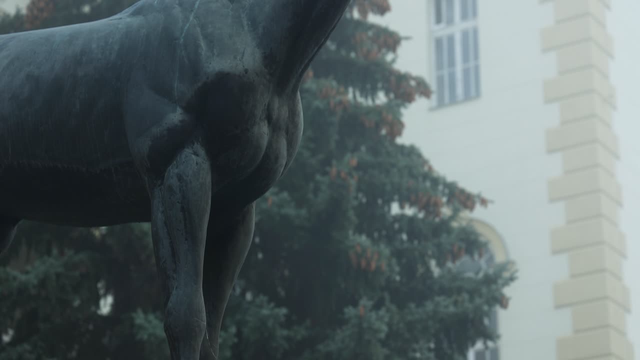 estatua de "kincsem". famoso caballo húngaro ii