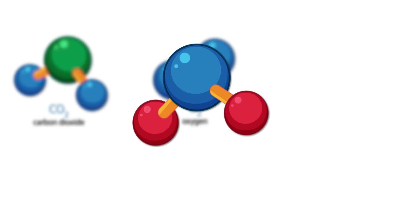 Animated molecular models show carbon dioxide, oxygen, and water formation with smooth transitions and labels