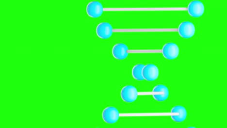 회전하는 dna 모델의 3d 애니메이션
