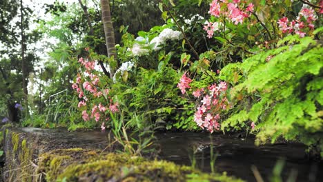 hermoso jardín con agua