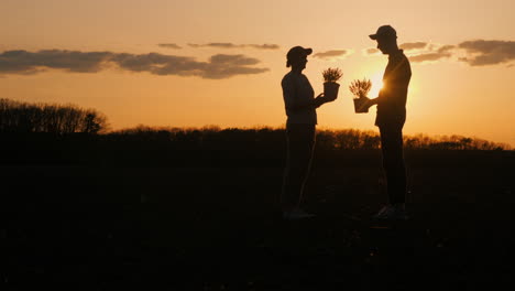 friends planting flowers at sunset