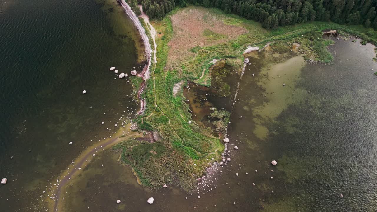 Estonia’s coastline captured by drone displays rocky shores meeting coastal greenery and pine forest, forming a striking contrast against the calm waters of the Baltic Sea