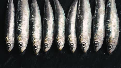 fresh sardines on a dark surface