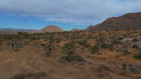 Scenic-Joshua-Tree-National-Park-in-California,-USA