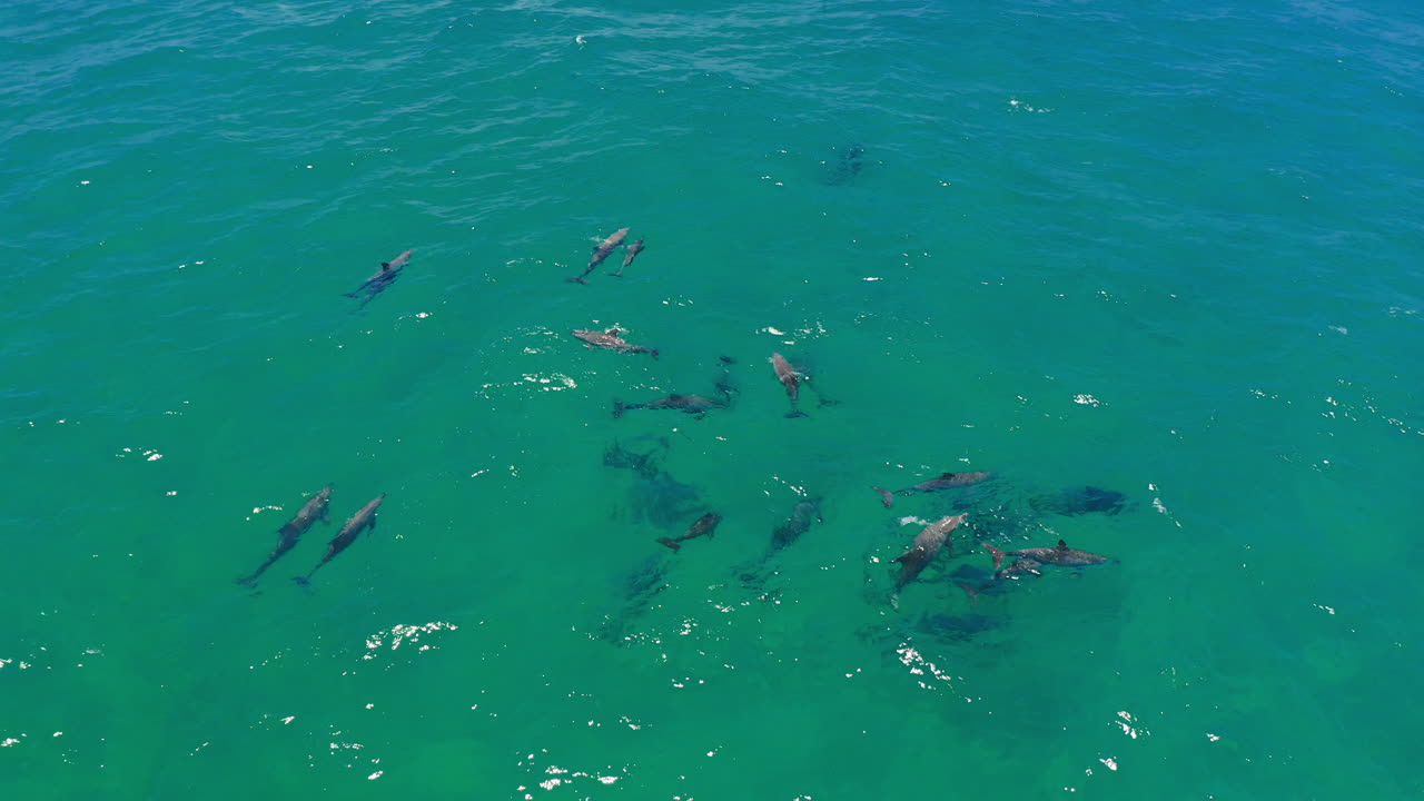 그들은 단지 무슨 일이 일어나고 있는지 알고 싶어합니다.