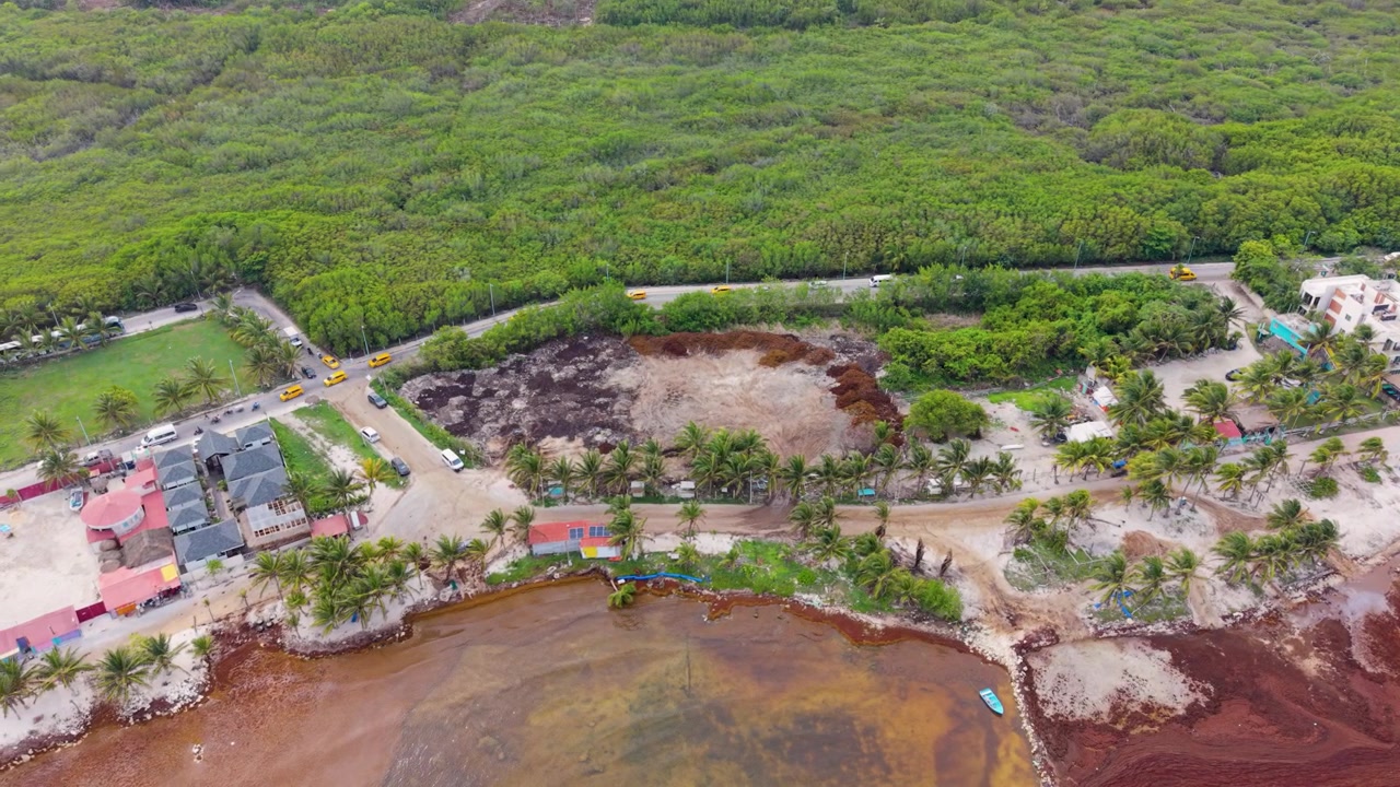 Aguas caribeñas en Mahahual a pesar del sargazo en alta mar