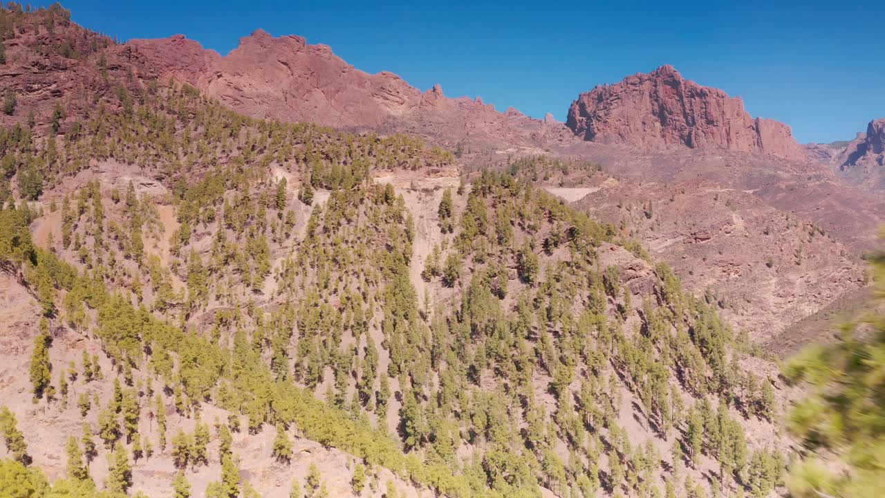 dron aéreo volando a través de la línea de árboles hacia las montañas en gran canaria españa