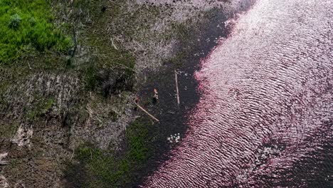 aerial drone view of rippling water meeting a rocky shoreline with green vegetation in michigan’s upper peninsula