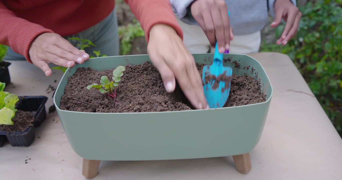 African American mother and daughter digging, planting seedling with trowel in planter outdoors
