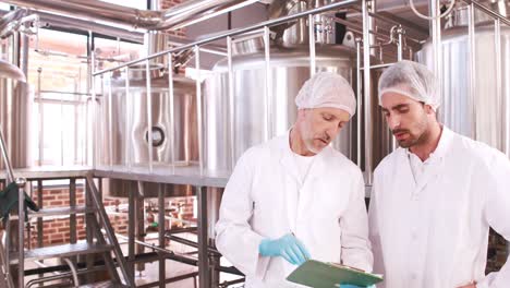 dos trabajadores de una cervecería trabajando juntos