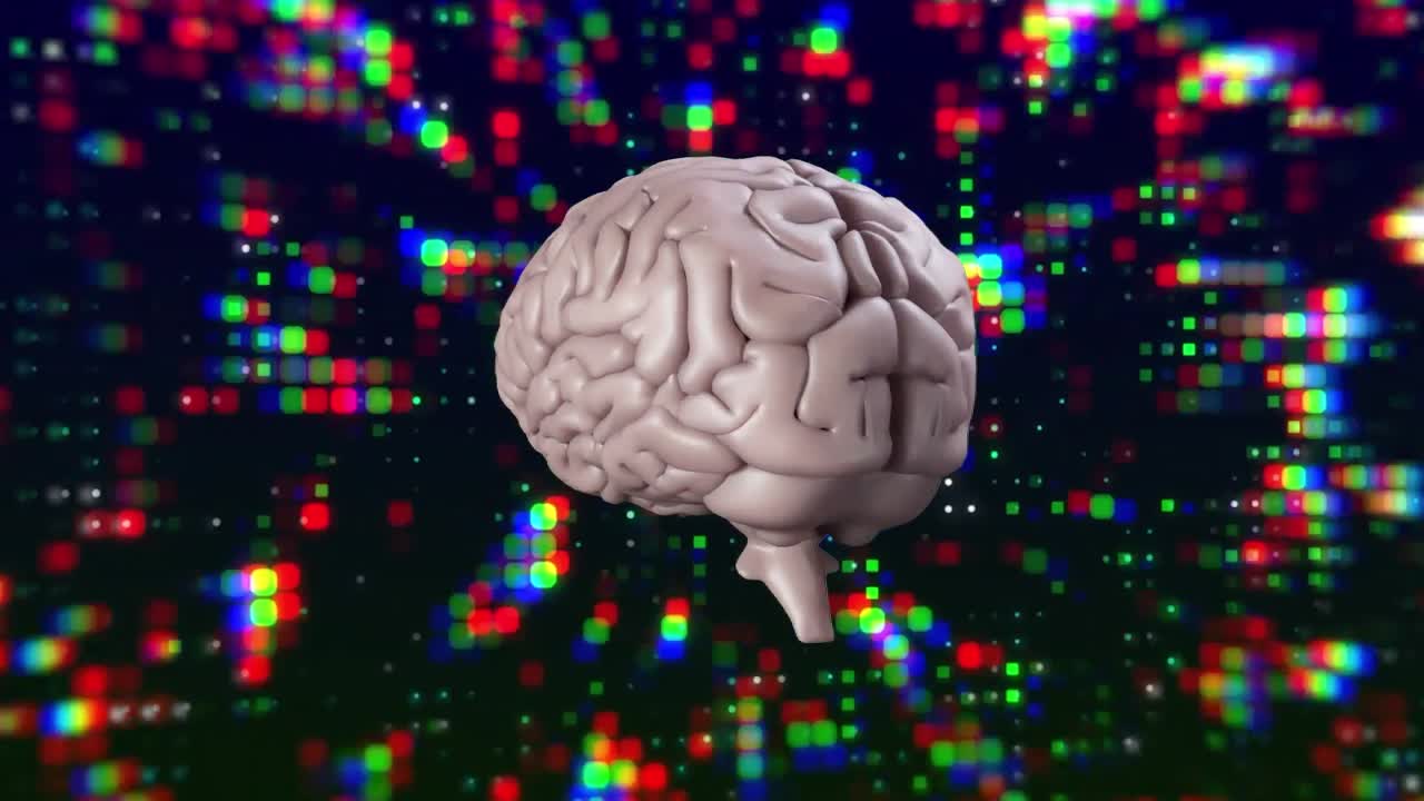 animación del procesamiento de datos sobre el cerebro humano