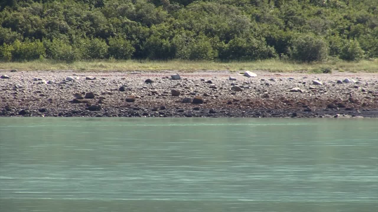 바위 해안선, 내부 통로, 알래스카