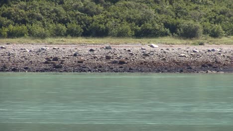 Rocky-coastline,-Inside-Passage,-Alaska